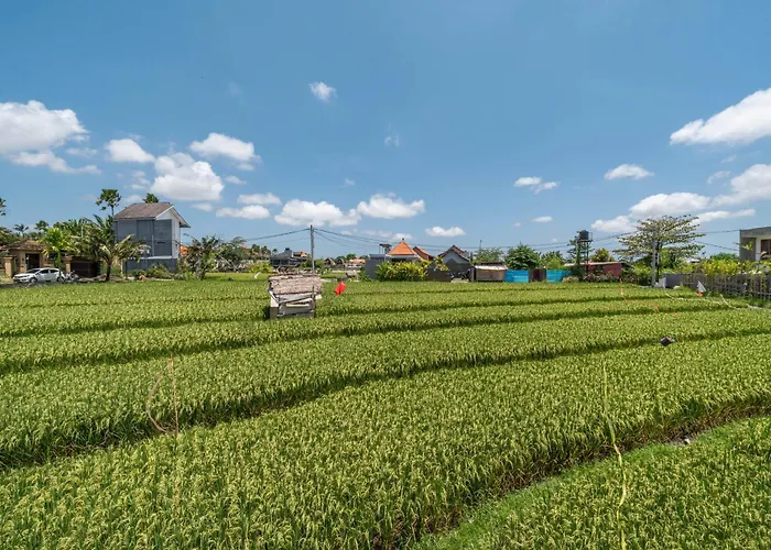 Vesna Townhouse - Stylish Hi-end Townhouse Villa *
